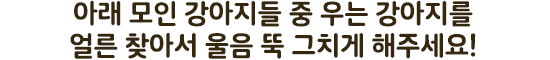 내가 원하는 복주머니를 선택해보세요. 합리적인 비용으로 보험료 부담을 덜고싶다면? 2번